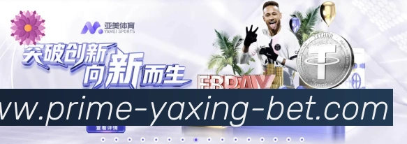 未来规划