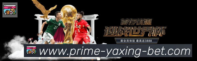 体育数据展示